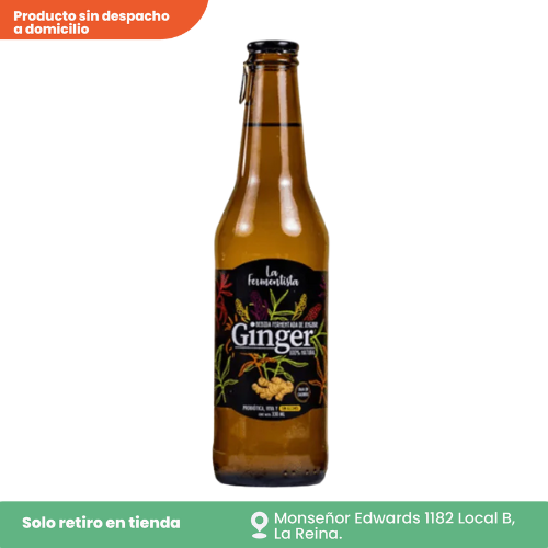 Bebida Ginger kéfir 330 ml