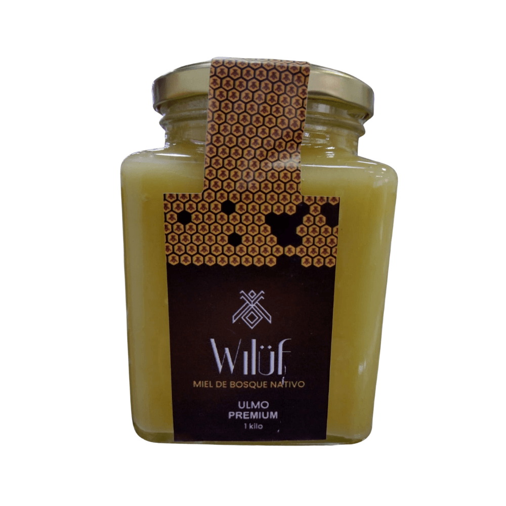 Miel de bosque nativo ulmo premium de vidrio 1 kg