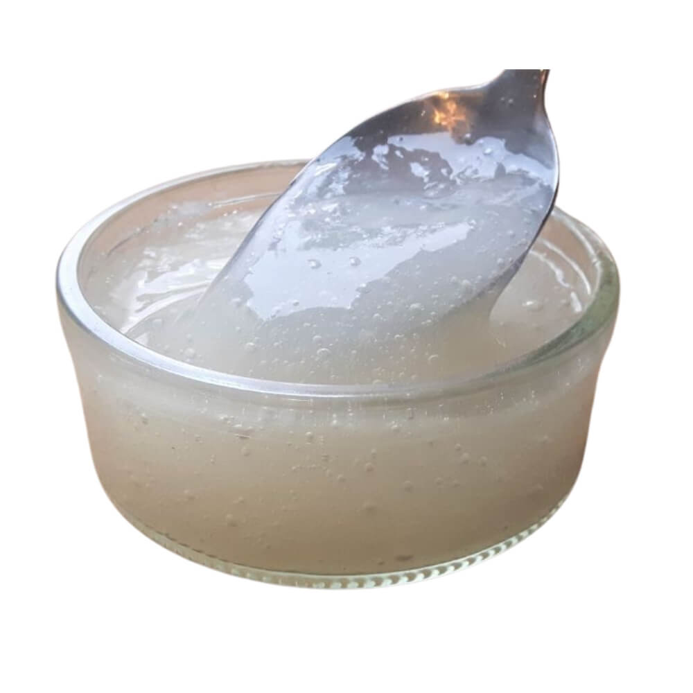 Goma xantana 60 g