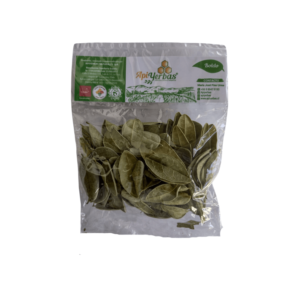 Hierba boldo 15 g