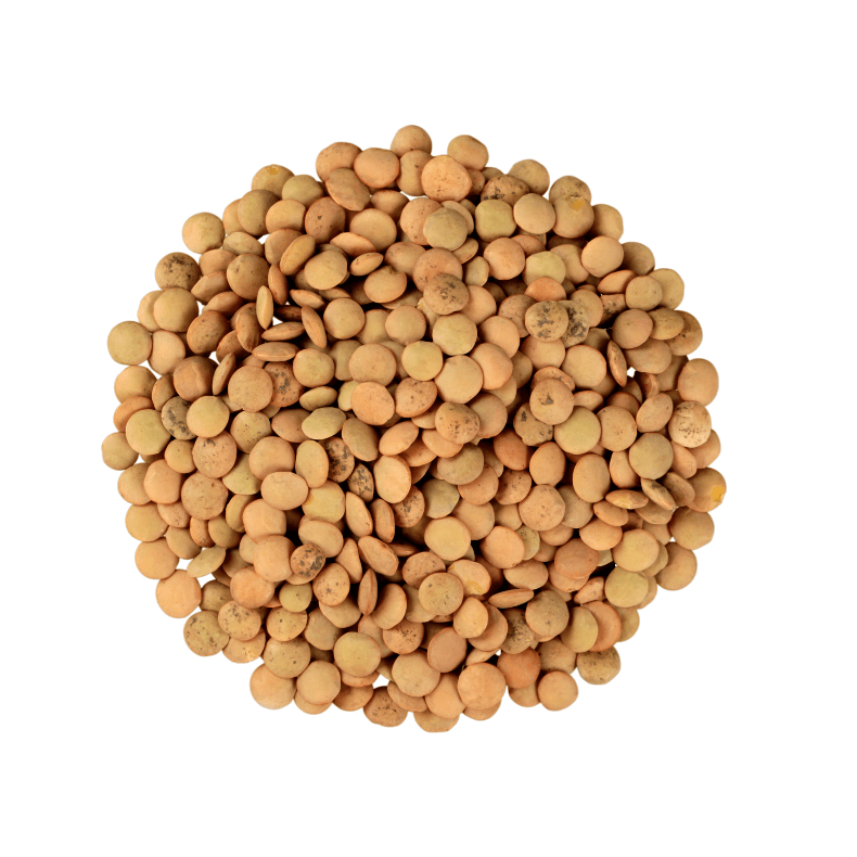 Lentejas 500 g