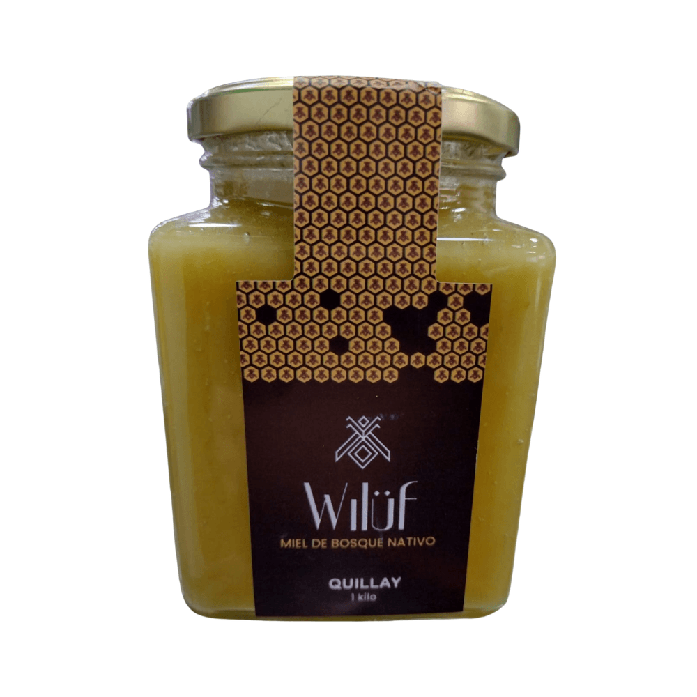 Miel de bosque nativo quillay  de vidrio 1 kg